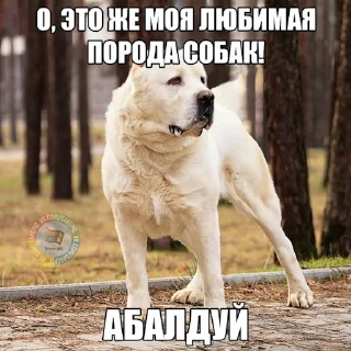 🦮 emoji ЧВК "Акацуки" by @dryaed Telegram sticker 14 of 26