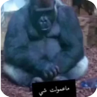 👍 emoji @R_77_p محمد Telegram sticker 6 of 120