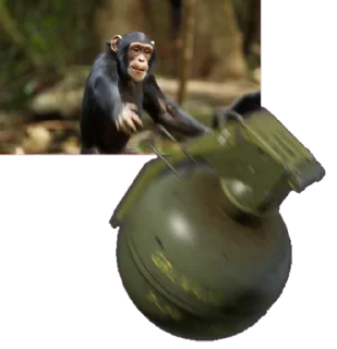 😠 emoji monke Telegram sticker 20 of 36