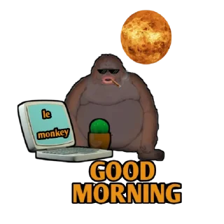 🌅 emoji LE MONKE Telegram sticker 7 of 10