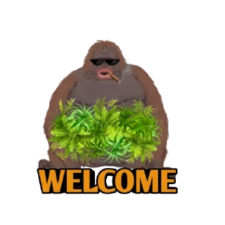 👋 emoji LE MONKE Telegram sticker 6 of 10