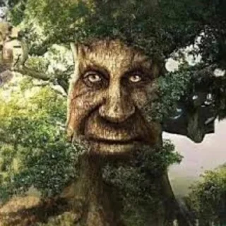 🌲 emoji ꧁F͔̖̗͎̩͈̦̝̞̙̘͍̤r͔̖̗͎̩͈̦̝̞̙̘͍̤̣ͅa͔̖̗͎̩͈̦̝̞̙̘͍̤̣ͅZ͔꧂ @TheRealFraZ Telegram sticker 24 of 26