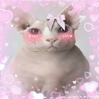🐱 emoji как их там... скинхеды Telegram sticker 19 of 107
