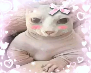 🐱 emoji как их там... скинхеды Telegram sticker 18 of 107