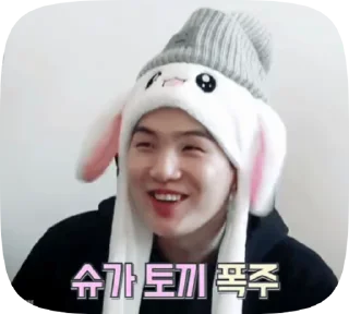 🐰 emoji SUGA @aboutsk Telegram sticker 13 of 50