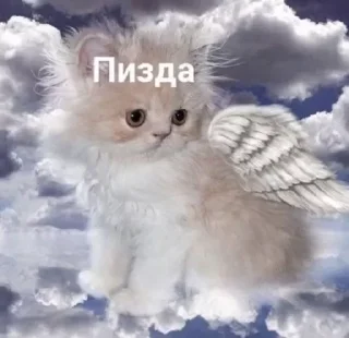 🍆 emoji Хз чо это Telegram sticker 16 of 39