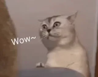 😲 emoji Memes @english_world_chatting Telegram sticker 6 of 50