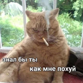 😘 emoji виды похуизма Telegram sticker 24 of 86