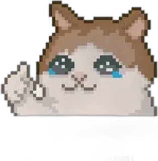 🌟 emoji Cats 🐈 stickers by:@stickerstgof Telegram sticker 17 of 28