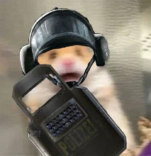 🐁 emoji Rainbow six Telegram sticker 24 of 44