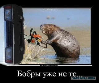 🐿️ emoji УфимскийБутер Telegram sticker 21 of 33
