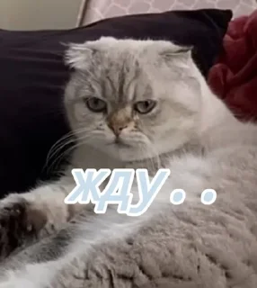 🌟 emoji Лёлик💗💖💘 Telegram sticker 15 of 15