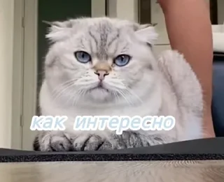 🌟 emoji Лёлик💗💖💘 Telegram sticker 6 of 15