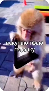 🌟 emoji Пак нейрика 3 Telegram sticker 24 of 50