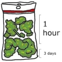 🌴 emoji Weed Telegram sticker 20 of 52