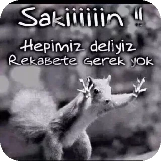 🖼 emoji @Kardeleninizm 🐿 Telegram sticker 21 of 53