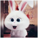 😄 emoji Khargoshay fati😌🐰🐇 Telegram sticker 20 of 34