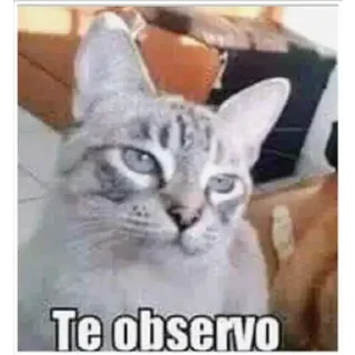😒 emoji Sergi Rata Telegram sticker 8 of 105