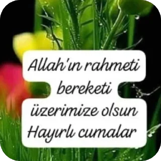 🫥 emoji Yalda Telegram sticker 19 of 67