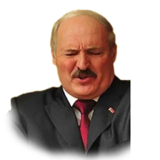 😖 emoji President of Belarus Telegram sticker 12 of 39