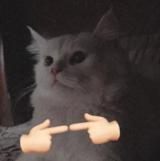 Sticker from ⚔obash⚔ @goats_meme