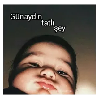 💚 emoji Talhakuncu • top stickers Telegram sticker 17 of 30