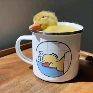 🦆 emoji ⇢ 𝘿𝙪𝙘𝙠𝙨 | @AquaStickers @DuckLoving 💎 Telegram sticker 10 of 46