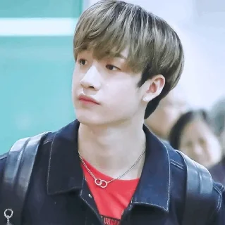 🐚 emoji | Bang Chan 🕊 | Telegram sticker 17 of 65