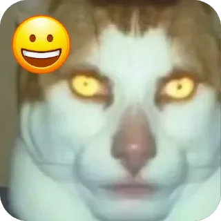 🫥 emoji Опа Telegram sticker 8 of 8