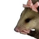 ☺️ emoji REAL Poss Stickers Telegram sticker 12 of 34