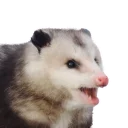 😦 emoji REAL Poss Stickers Telegram sticker 22 of 34