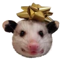 🏅 emoji REAL Poss Stickers Telegram sticker 20 of 34