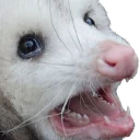 😵 emoji REAL Poss Stickers Telegram sticker 7 of 34
