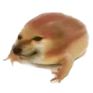 🐸 emoji Such a Doge By @OH_NO_CRlNGE Telegram sticker 7 of 115