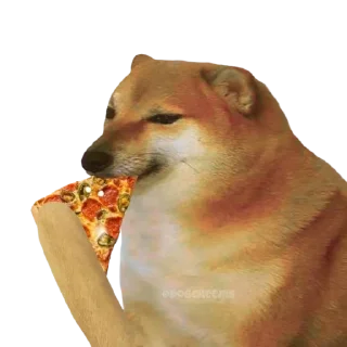 🍕 emoji Such a Doge By @OH_NO_CRlNGE Telegram sticker 22 of 115