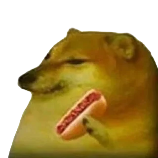 🌭 emoji Such a Doge By @OH_NO_CRlNGE Telegram sticker 19 of 115