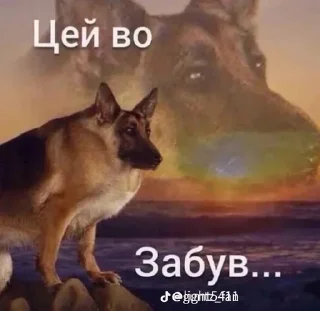 😎 emoji Ротебал Telegram sticker 13 of 41
