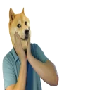 🐕 emoji Dogecoin Telegram sticker 15 of 44