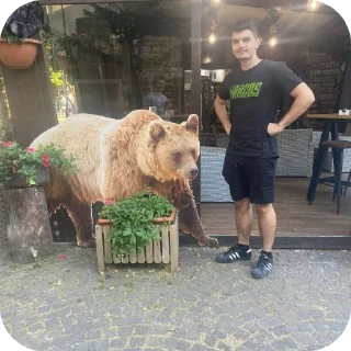🐻 emoji Televisione combattimento gruppo Telegram sticker 24 of 120