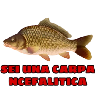 😘 emoji GRUPPO ABBONATI GIUSE360 Telegram sticker 12 of 27