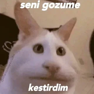 🧐 emoji Sevimli Moodum 💖 Telegram sticker 15 of 70