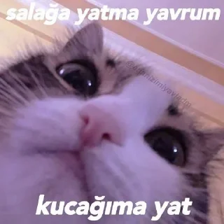🥰 emoji Sevimli Moodum 💖 Telegram sticker 24 of 70