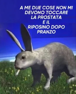 🐇 emoji Shitpost Italiano - @safesticker Telegram sticker 19 of 86