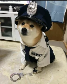 🐕 emoji ته خنده ای بی ابرو Telegram sticker 24 of 73