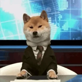 🐕 emoji ته خنده ای بی ابرو Telegram sticker 5 of 73