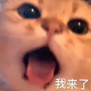 ❤️ emoji 小鹿乱撞 Telegram sticker 23 of 120