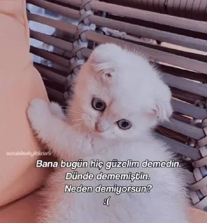 🥺 emoji KISNAC LAN KISKANÇ DEĞİL Telegram sticker 12 of 44