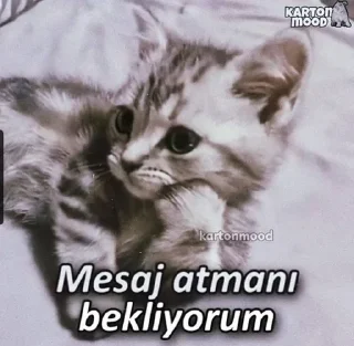 🥺 emoji KISNAC LAN KISKANÇ DEĞİL Telegram sticker 13 of 44