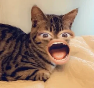 😲 emoji DalygattodiAlexa Telegram sticker 15 of 20
