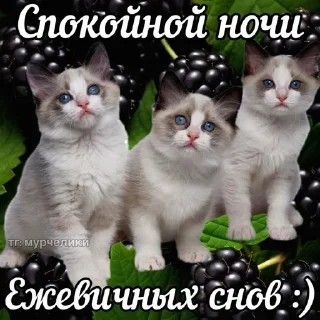 🌟 emoji Няшные стикеры Telegram sticker 16 of 45